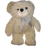 Buddy Teddy Bear