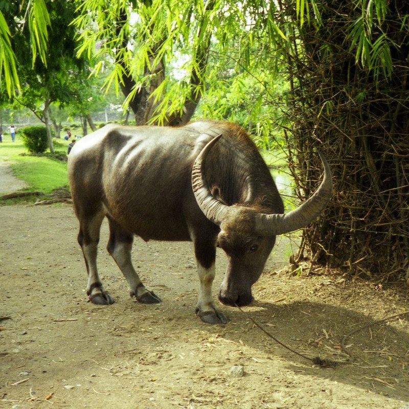 A Life of Love: Heading to Mindanao